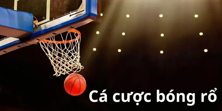 Tham Gia Cá Cược Bóng Rổ Hi88 Để Tăng Cơ Hội Chiến Thắng Lớn Ngay 2 Tham Gia Cá Cược Bóng Rổ Hi88 Để Tăng Cơ Hội Chiến Thắng Lớn Ngay